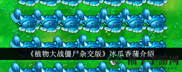 冰雪奇缘植物：冰瓜香蒲，全屏追踪，霸气回归