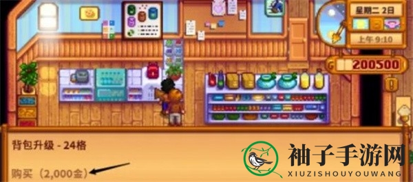 《星露谷物语》拓宽装备库方法