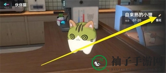 《猫之城》昵称修改教程