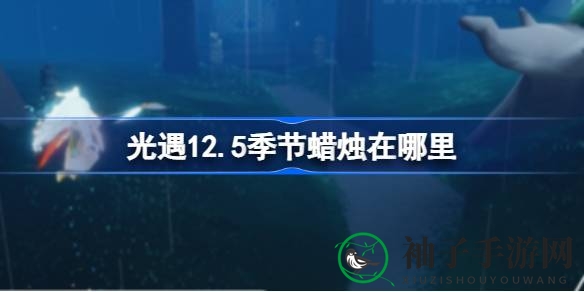 光遇12.5版本季节之光藏匿揭秘：雨林探险之旅等你来发现