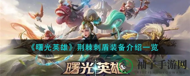 《曙光英雄》荆棘刺盾装备深度解析：解析防御神器，助你战场称霸