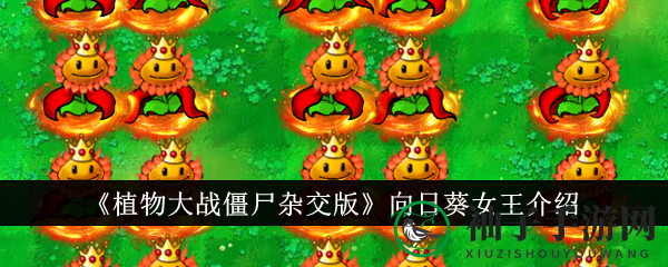 《植物大战僵尸杂交版》向日葵女王：阳光女王独门绝技大揭秘