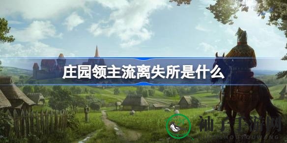 破解《游戏庄园领主》流离失所之谜，轻松提升领地民意