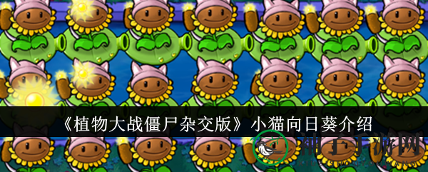 猫眼阳光，战场萌宠：探秘《植物大战僵尸杂交版》小猫向日葵
