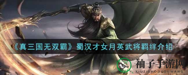 《真三国无双霸》月英羁绊揭秘：传奇才女五大绝配，战场英姿绽放光彩