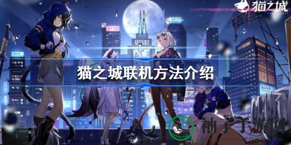 《猫之城》联机玩法大揭秘：账号互通仅限特定平台，探秘游戏联机奥秘