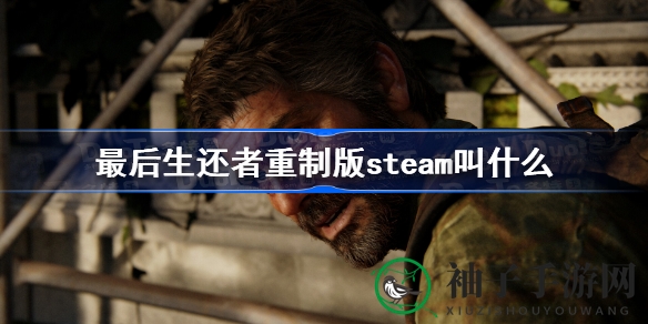 翘首以盼！揭秘《最后生还者》重制版Steam昵称，轻松解锁经典巨作