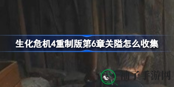 《生化危机4》重制版第六章宝藏攻略大揭秘：寻宝之旅全攻略解析