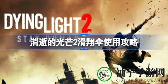 《消逝光芒2》翱翔攻略：揭秘空中之旅的秘密技巧