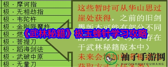《武林秘籍》极玉蜂针修炼攻略：白衣女子指引，揭秘神秘武学奥秘