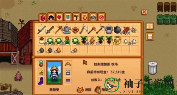 《星露谷物语》拓宽装备库方法