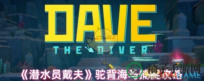 《潜水员戴夫》攻略：轻松捕获驼背海马全攻略