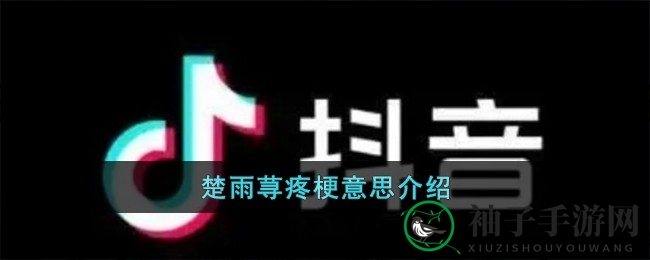 网络新梗“楚雨荨疼”走红，揭秘其趣味演变之谜