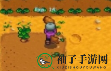 《星露谷物语》硬木快速收集攻略