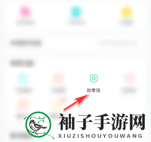 《皮皮陪玩》勋章查看方法
