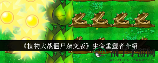 《植物大战僵尸杂交版》揭秘：生命重塑者回收植物，阳光返还大揭秘