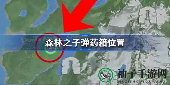 《森林之子》揭秘：弹药宝箱藏身之谜与完美结局攻略分享