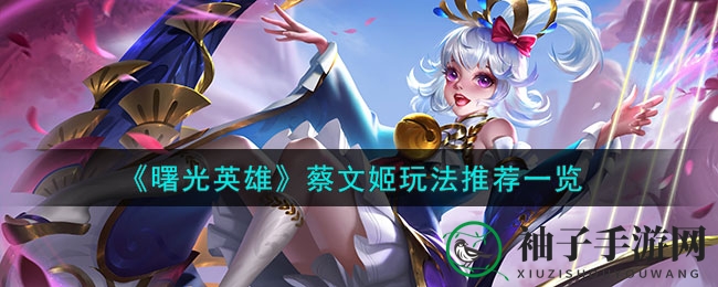 《曙光英雄》蔡文姬实战攻略：辅助英雄玩法详解，助你团战称霸