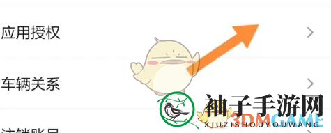 操作步骤4：查看应用授权