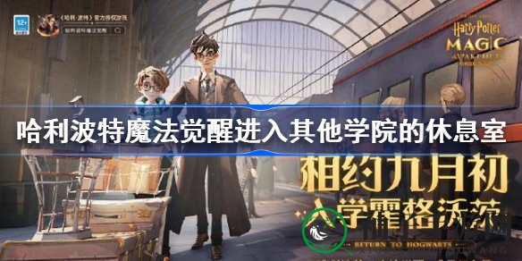 哈利波特魔法觉醒揭秘：轻松探索神秘学院休息室攻略