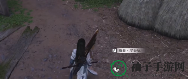《燕云十六声》猫猫石头坑位置攻略