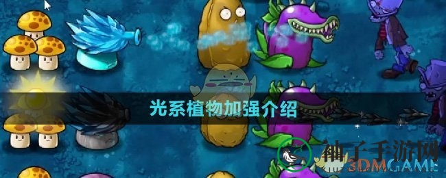 《植物大战僵尸融合版》光系植物加强介绍