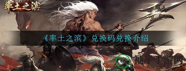 《率土之滨》兑换码兑换揭秘