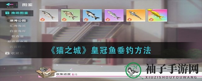 《猫之城》钓鱼攻略揭秘：捕获皇冠鱼不再头疼，官方补贴助力玩家挑战！