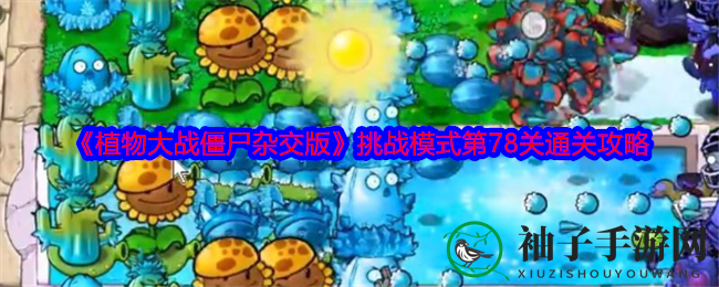 《植物大战僵尸杂交版》挑战第78关攻略揭秘：巧用地形轻松通关