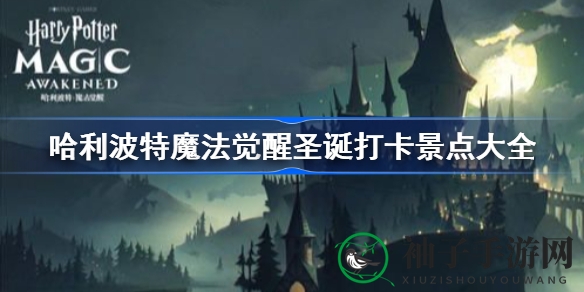 哈利波特魔法觉醒圣诞狂欢：盘点神秘打卡地，体验魔法圣诞盛景