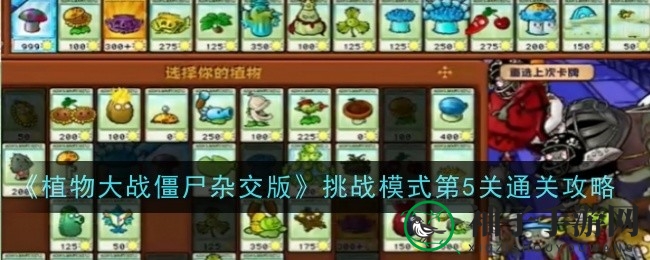 《植物大战僵尸杂交版》第五关通关攻略：寒冰仙人掌助你化险为夷