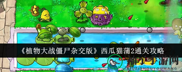 《西瓜猫蒲2》植物布局攻略：解锁种子雨关卡通关秘籍