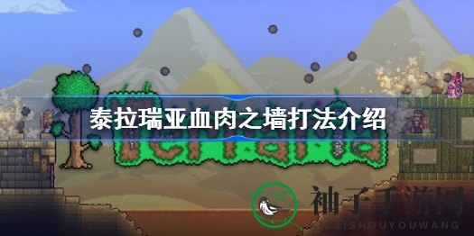 《泰拉瑞亚》血肉之墙挑战攻略：全方位解析战胜技巧
