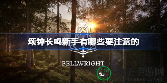 《颂钟长鸣》新手攻略：揭秘12大生存技巧，助你称霸游戏世界