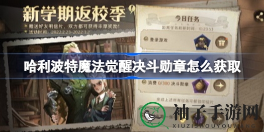《哈利波特魔法觉醒》挑战徽章获取攻略大揭秘，轻松突破300枚挑战！