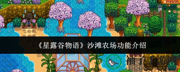 《星露谷物语》沙滩农场：海滨风情下的宝藏乐园探秘