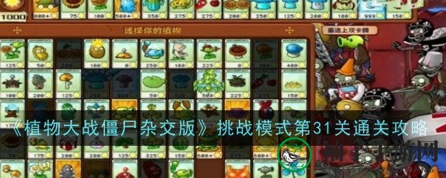 《植物大战僵尸杂交版》挑战31关攻略：布局技巧助你轻松通关
