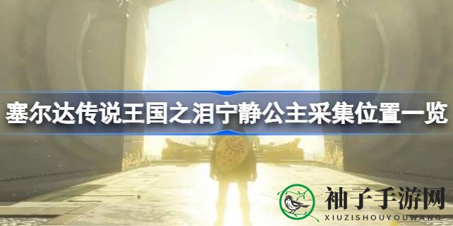 《塞尔达传说：王国之泪》揭秘宁静公主采集秘境攻略全解析