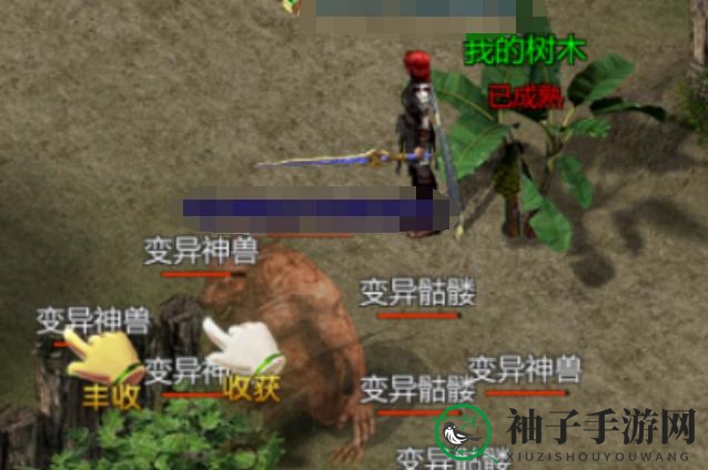 《王者传奇》苍月岛种植攻略