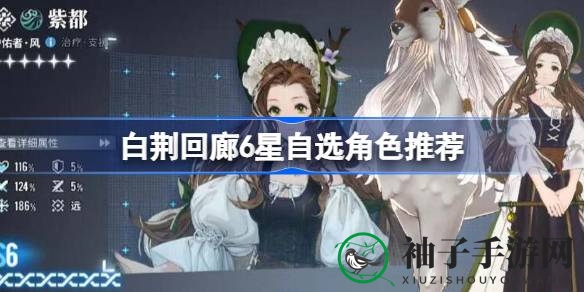 《白荆回廊》6星角色攻略：十大强将助你轻松驾驭游戏世界