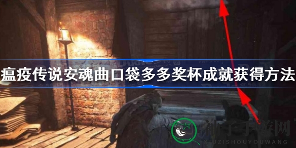 《瘟疫传说》升级秘籍：轻松解锁“口袋宝藏”奖杯成就攻略分享