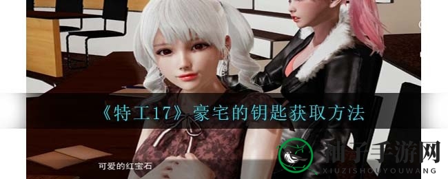 特工17豪宅钥匙攻略：解锁神秘之门，赢取大奖！