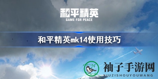 和平精英MK14攻略：揭秘神器还是鸡肋，全自动狙击枪实战解析