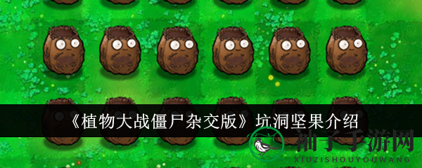 《植物大战僵尸杂交版》神秘坑洞坚果：提前现身矿工，独特游戏攻略揭晓