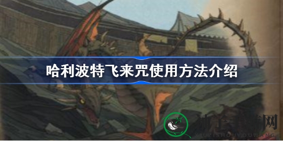 哈利波特魔法觉醒：揭秘飞来咒运用技巧，助你赢得战斗胜利