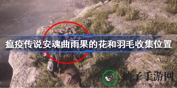 《瘟疫传说：安魂曲》寻宝攻略，揭秘雨果花与羽毛隐藏位置