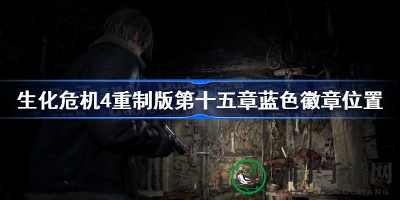 《生化危机4》重制版徽章寻宝指南：揭秘隐藏宝藏攻略