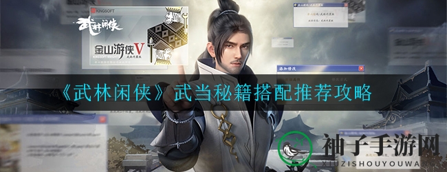 《武林闲侠》武当秘籍搭配推荐攻略