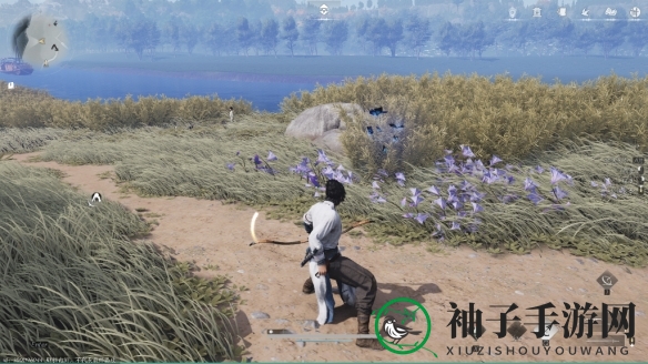 《燕云十六声》清河曲径寻幽全收集攻略