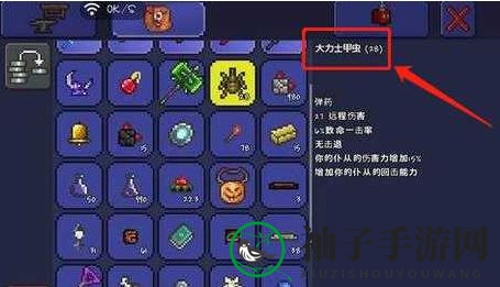 《泰拉瑞亚》召唤师毕业饰品攻略